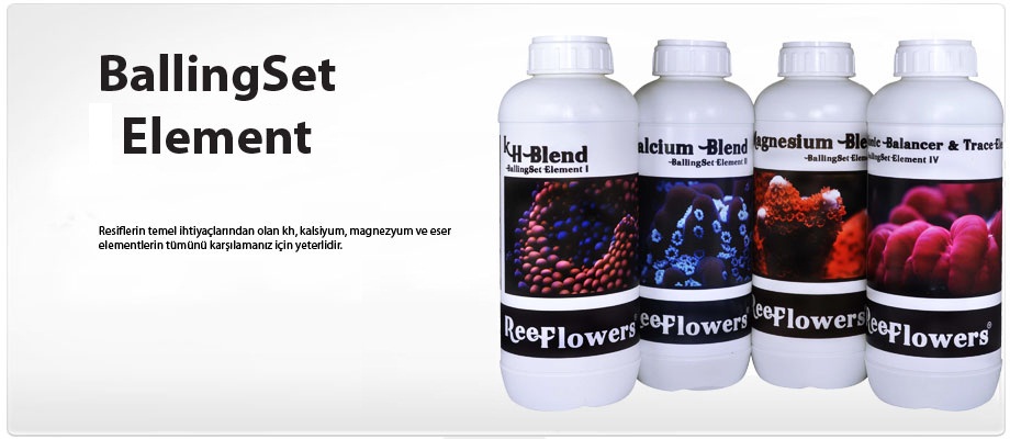 Reeflowers - Aquarium Solutions
